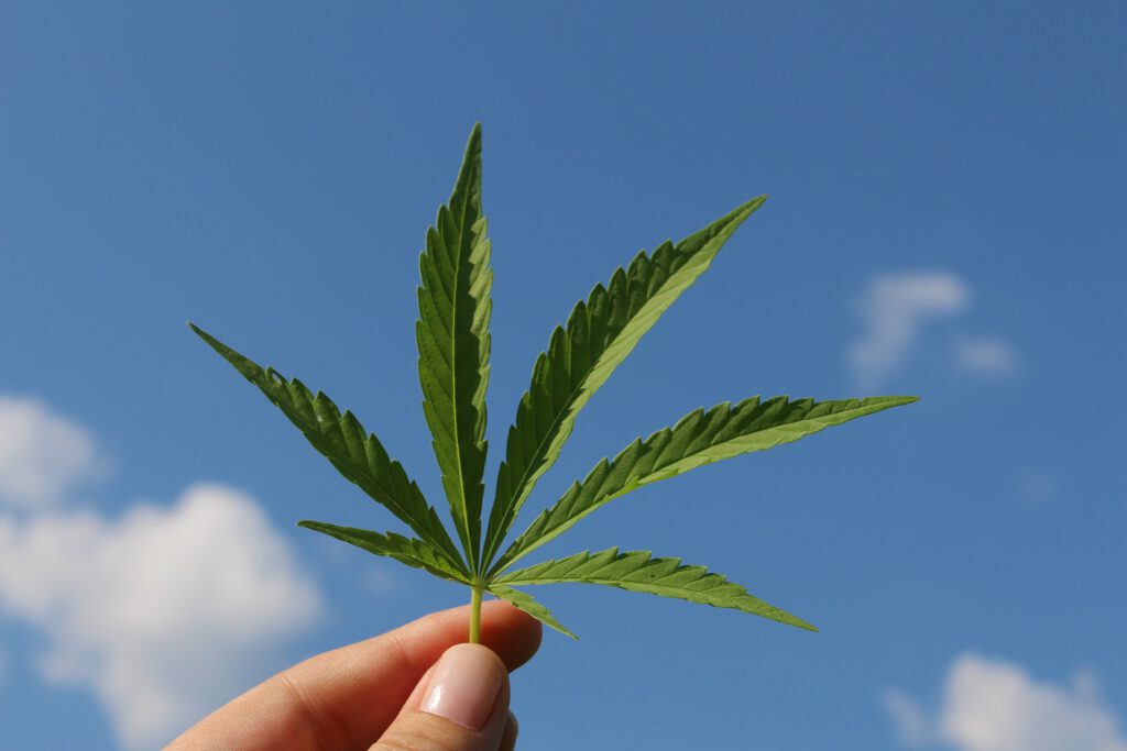 Fachtagung Cannabis: was wäre wenn???